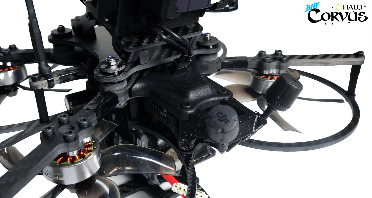 HaloRC Corvus BNF